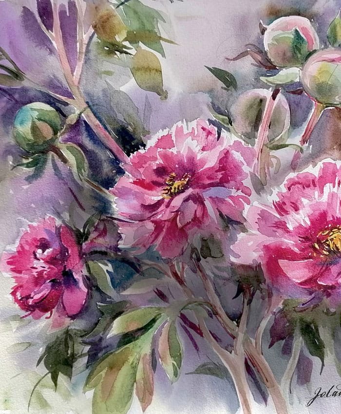 Peonia-1