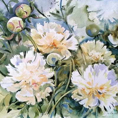 peonie-400x400